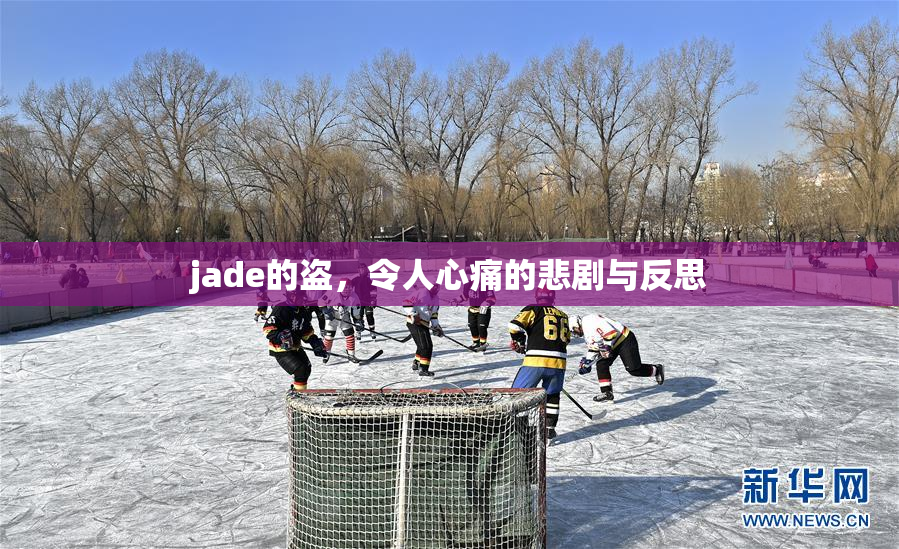 jade的盗，令人心痛的悲剧与反思