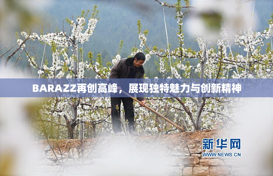 BARAZZ再创高峰，展现独特魅力与创新精神