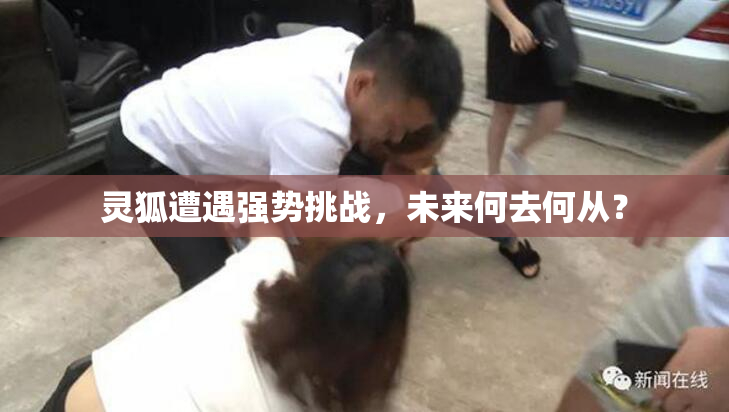 灵狐遭遇强势挑战，未来何去何从？