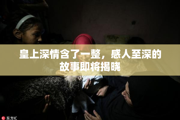 皇上深情含了一整，感人至深的故事即将揭晓