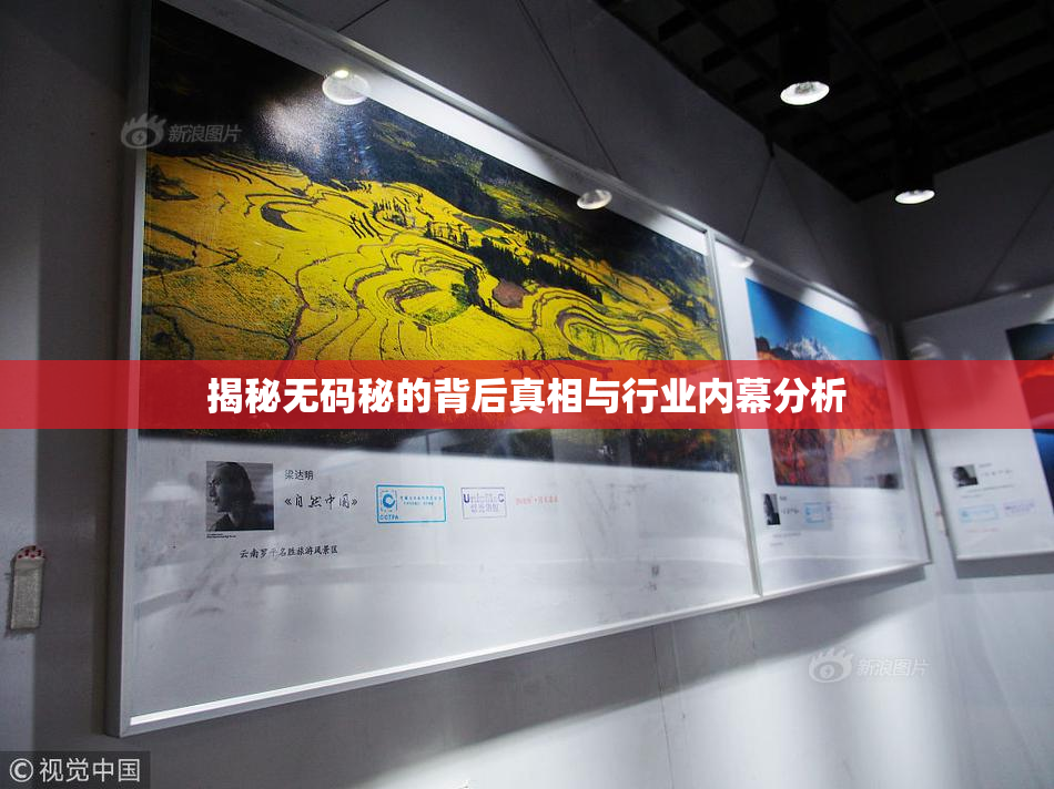 揭秘无码秘的背后真相与行业内幕分析