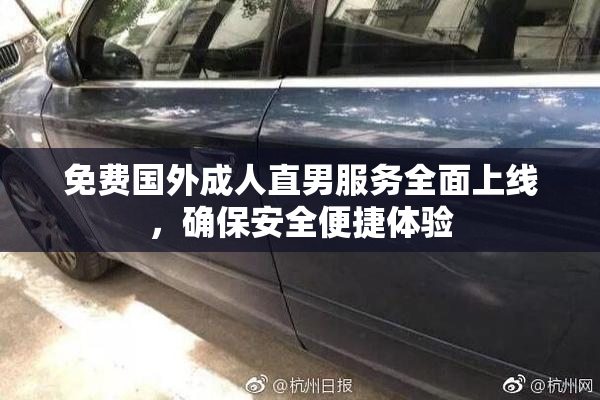免费国外成人直男服务全面上线，确保安全便捷体验