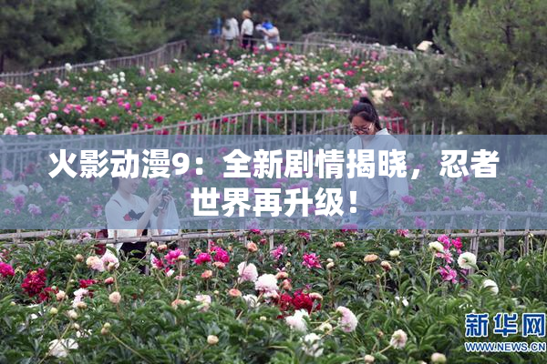 火影动漫9：全新剧情揭晓，忍者世界再升级！