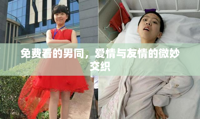 免费看的男同，爱情与友情的微妙交织