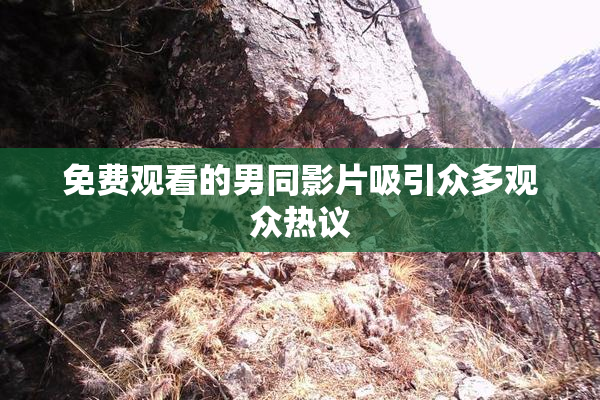 免费观看的男同影片吸引众多观众热议