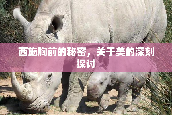 西施胸前的秘密，关于美的深刻探讨