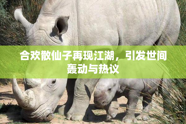 合欢散仙子再现江湖，引发世间轰动与热议