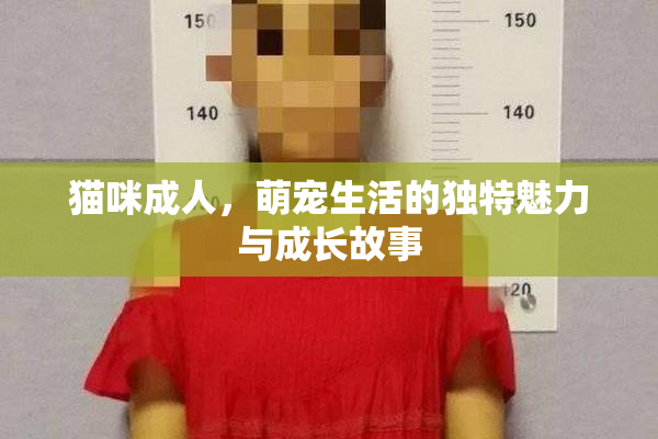 猫咪成人，萌宠生活的独特魅力与成长故事