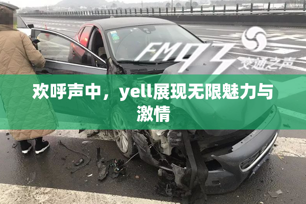 欢呼声中，yell展现无限魅力与激情