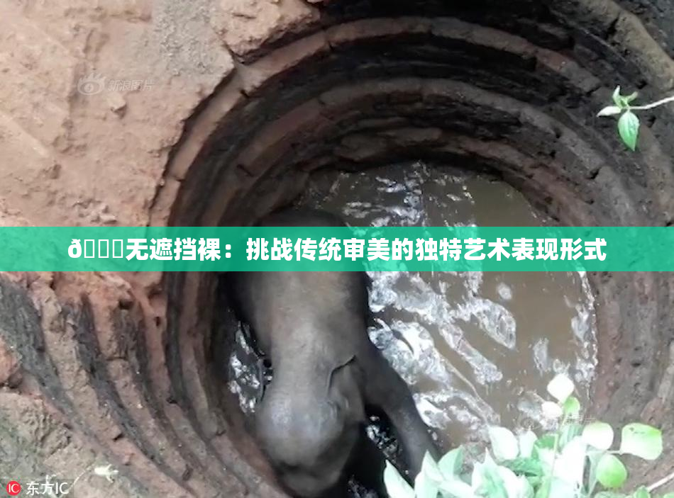 🔞无遮挡裸：挑战传统审美的独特艺术表现形式