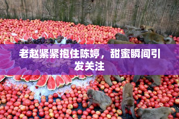 老赵紧紧抱住陈婷，甜蜜瞬间引发关注