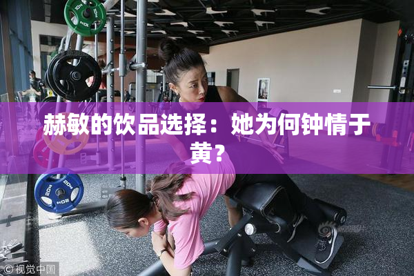 赫敏的饮品选择：她为何钟情于黄？