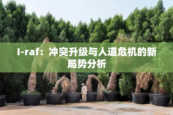 I-raf：冲突升级与人道危机的新局势分析