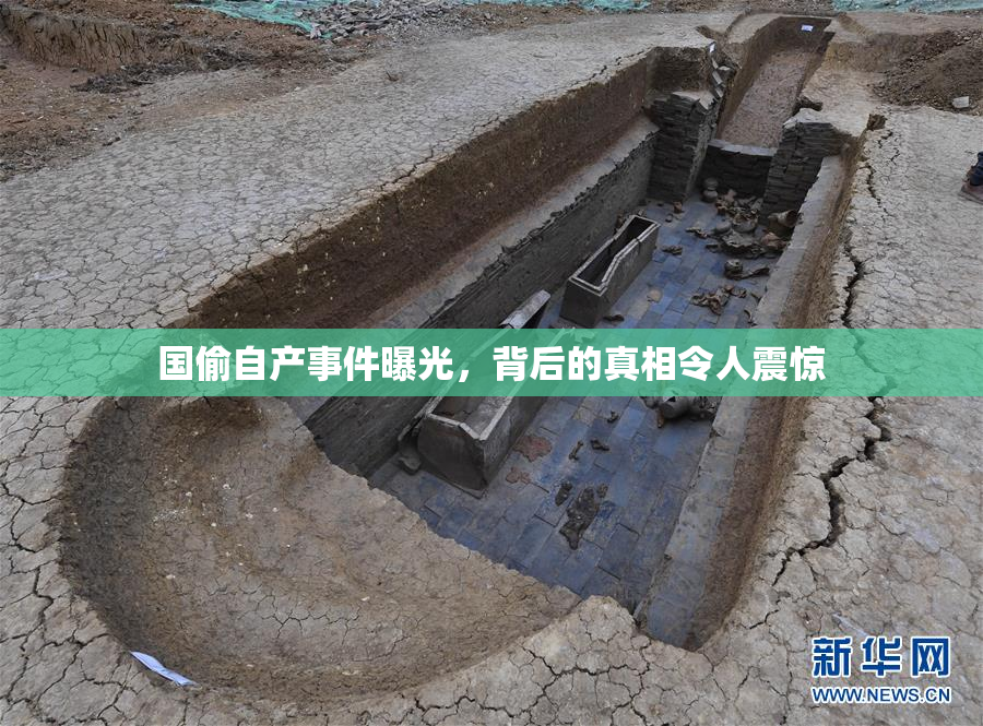 国偷自产事件曝光，背后的真相令人震惊