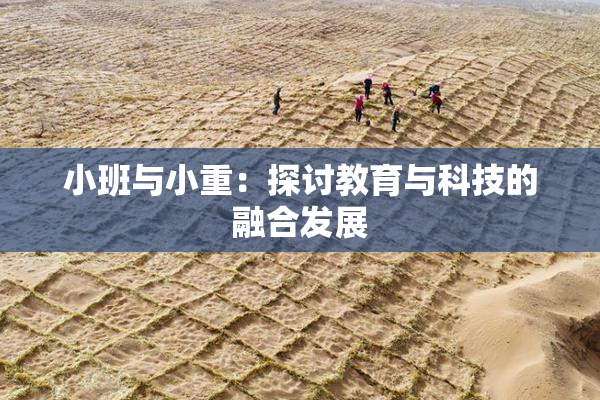 小班与小重：探讨教育与科技的融合发展