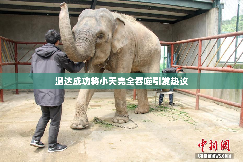 温达成功将小天完全吞噬引发热议