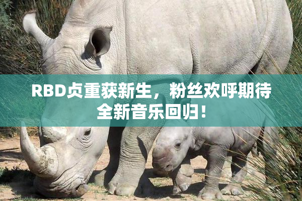 RBD贞重获新生，粉丝欢呼期待全新音乐回归！