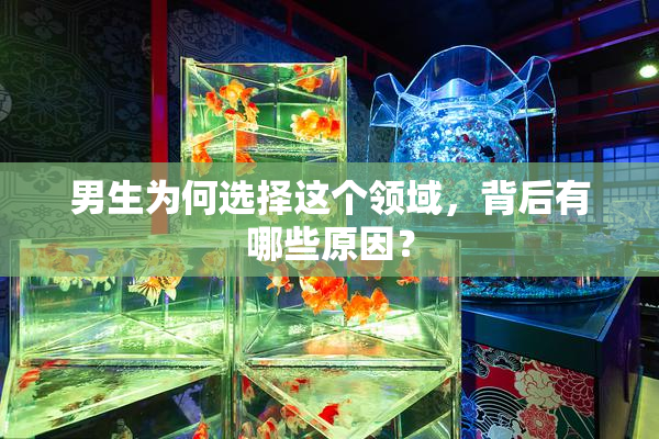 男生为何选择这个领域，背后有哪些原因？