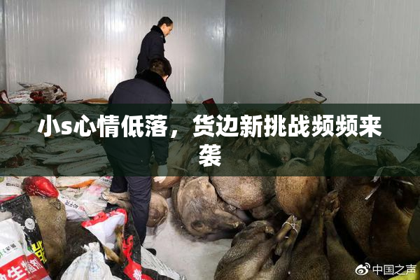 小s心情低落，货边新挑战频频来袭