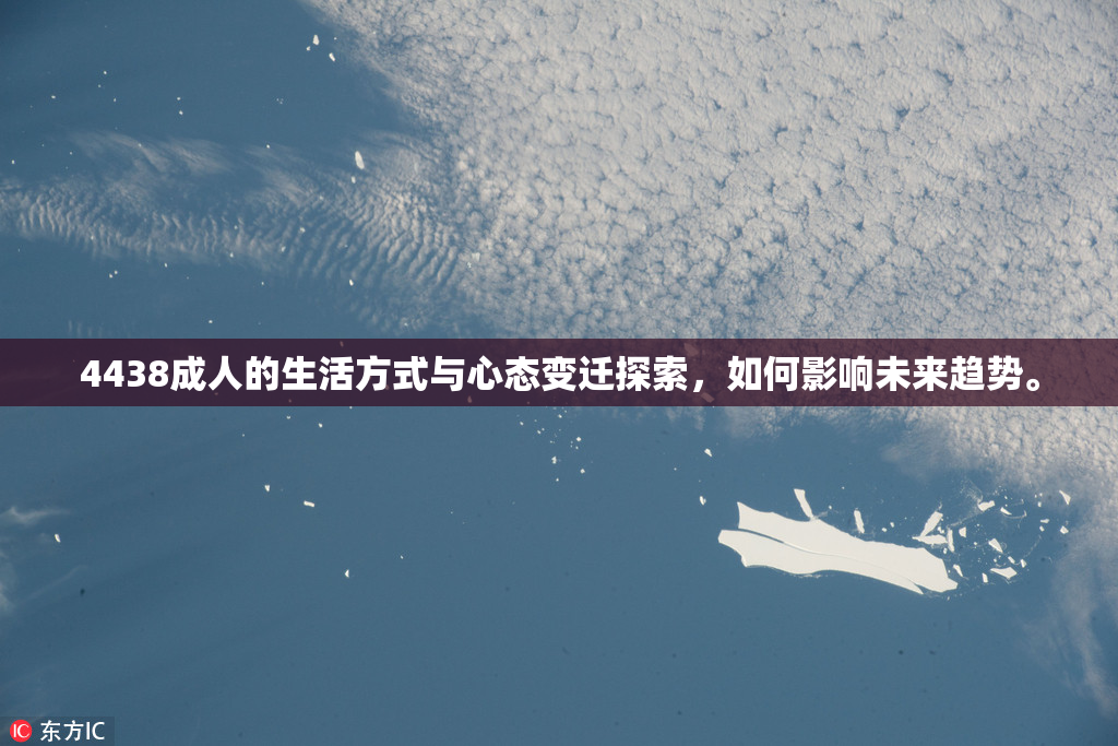 4438成人的生活方式与心态变迁探索，如何影响未来趋势。