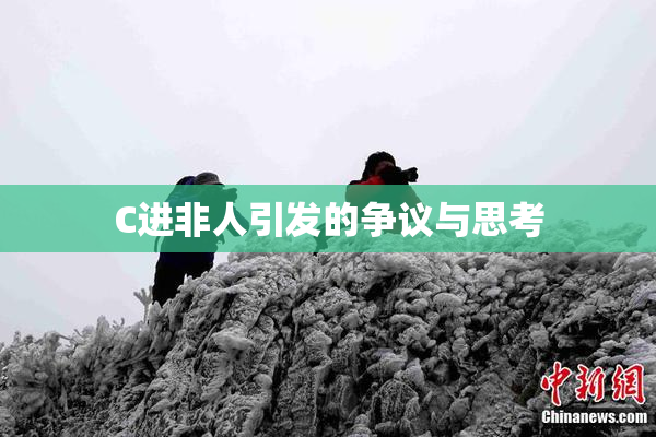 C进非人引发的争议与思考