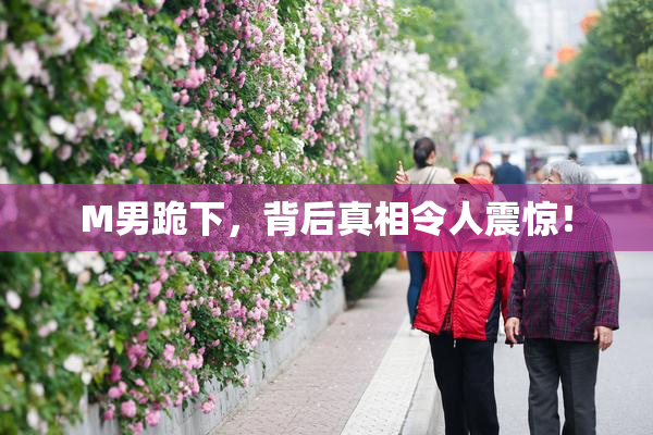 M男跪下，背后真相令人震惊！