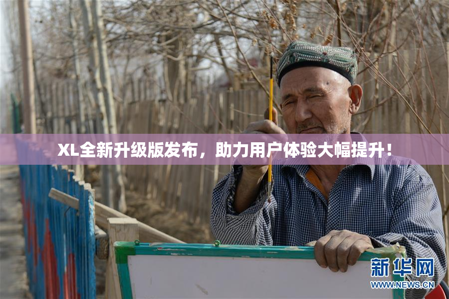 XL全新升级版发布，助力用户体验大幅提升！