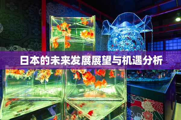 日本的未来发展展望与机遇分析