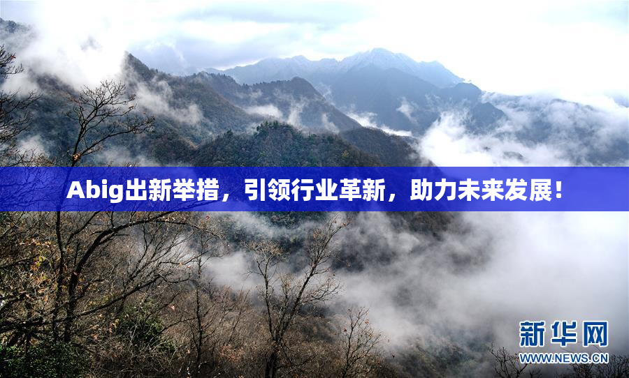 Abig出新举措，引领行业革新，助力未来发展！