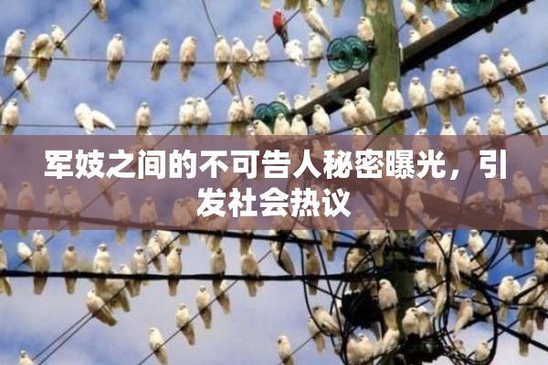 军妓之间的不可告人秘密曝光，引发社会热议
