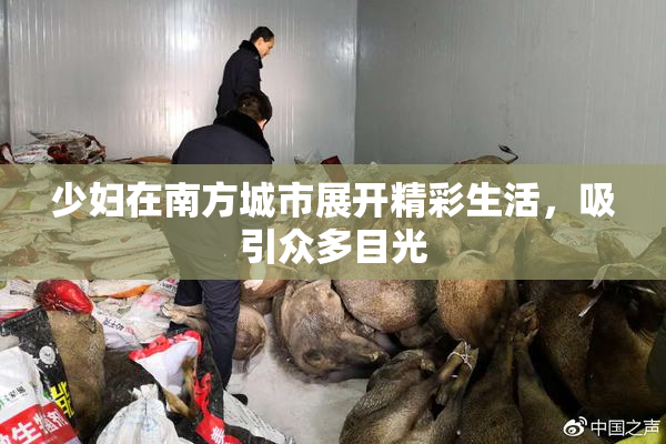 少妇在南方城市展开精彩生活，吸引众多目光