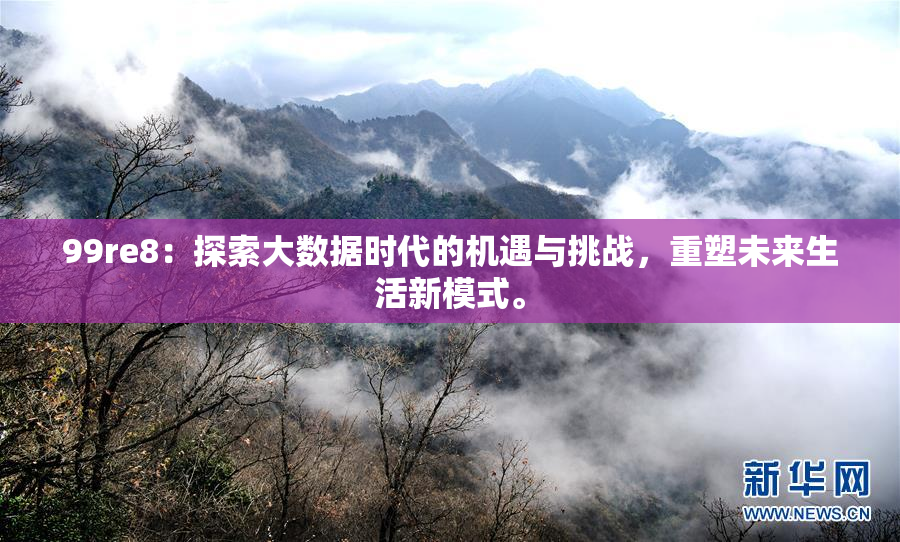 99re8：探索大数据时代的机遇与挑战，重塑未来生活新模式。