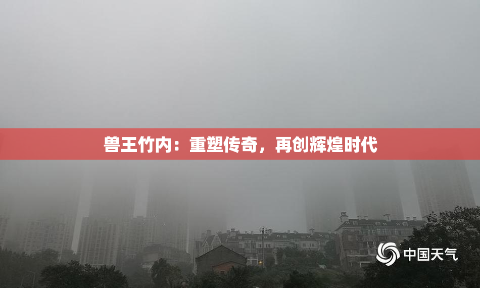 兽王竹内：重塑传奇，再创辉煌时代