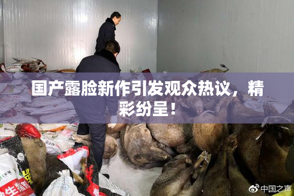 国产露脸新作引发观众热议，精彩纷呈！