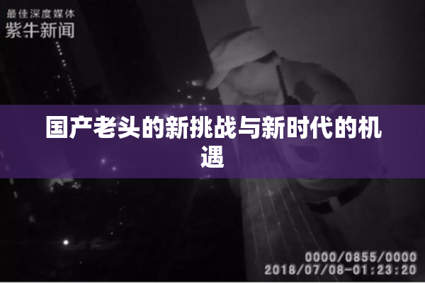 国产老头的新挑战与新时代的机遇