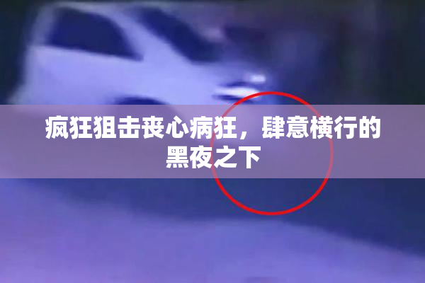 疯狂狙击丧心病狂，肆意横行的黑夜之下