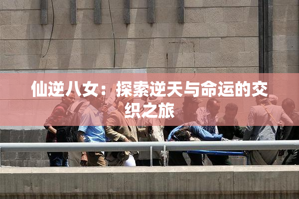 仙逆八女：探索逆天与命运的交织之旅