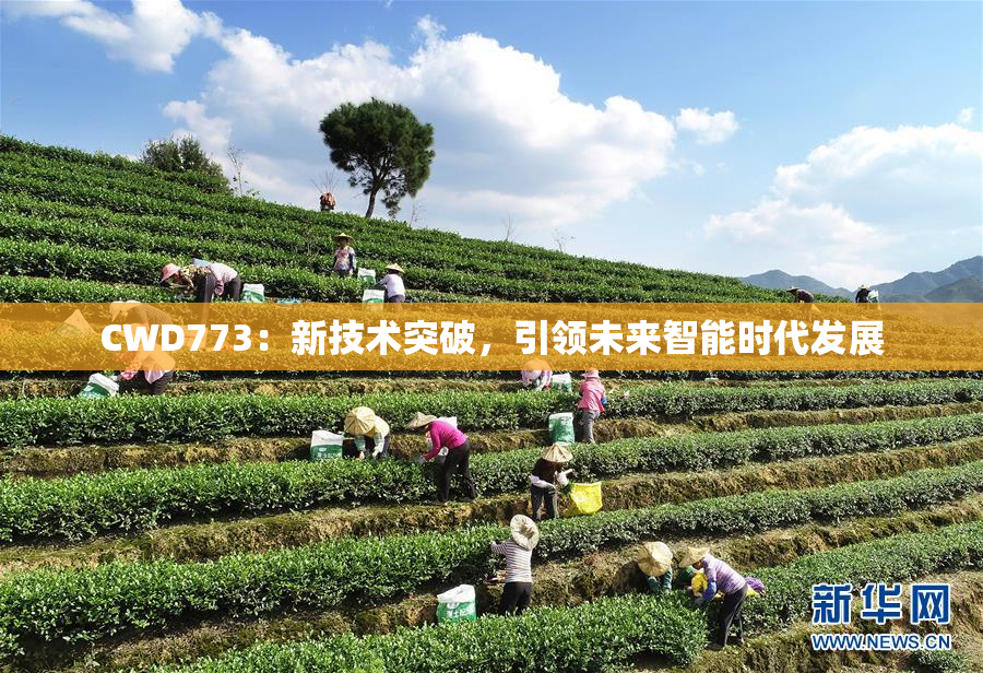 CWD773：新技术突破，引领未来智能时代发展