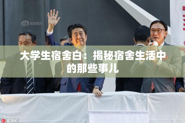 大学生宿舍白：揭秘宿舍生活中的那些事儿