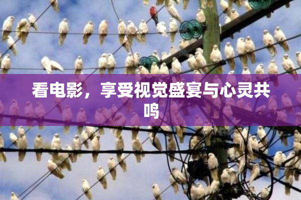 看电影，享受视觉盛宴与心灵共鸣