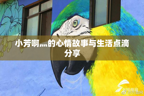 小芳啊灬的心情故事与生活点滴分享
