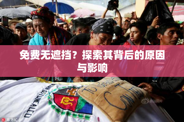 免费无遮挡？探索其背后的原因与影响