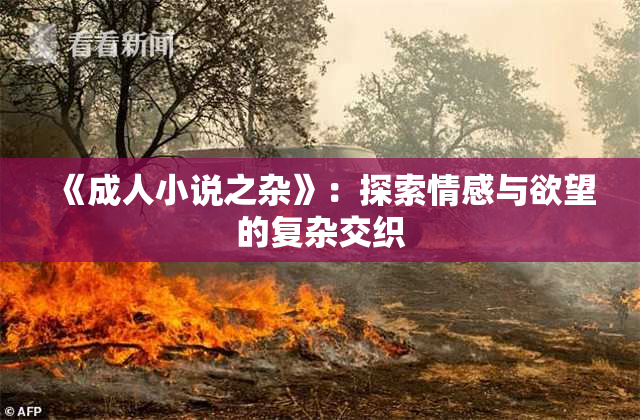 《成人小说之杂》：探索情感与欲望的复杂交织