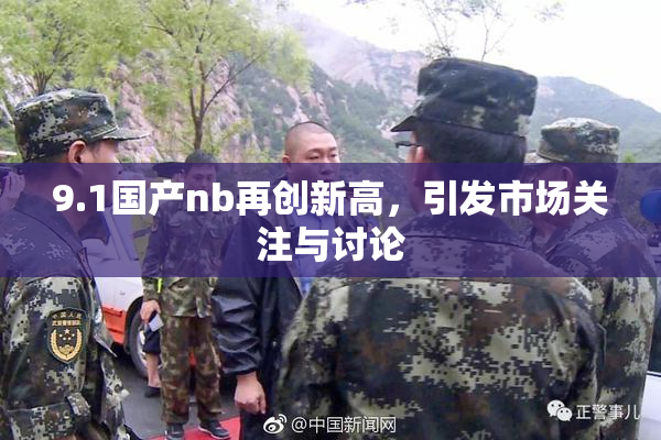9.1国产nb再创新高，引发市场关注与讨论