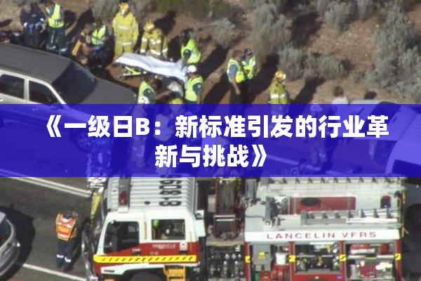 《一级日B：新标准引发的行业革新与挑战》