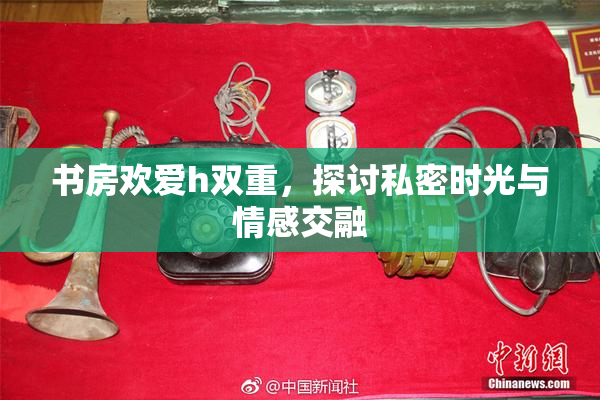 书房欢爱h双重，探讨私密时光与情感交融