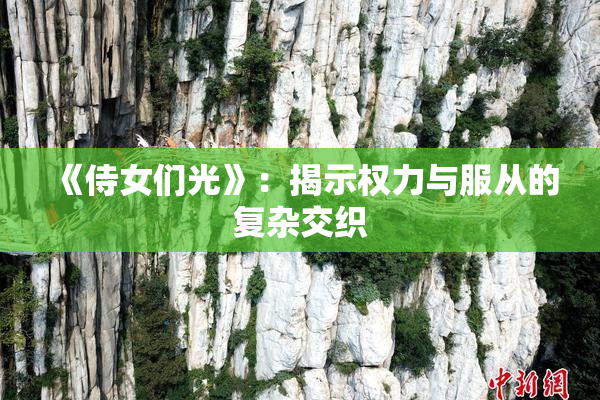 《侍女们光》：揭示权力与服从的复杂交织