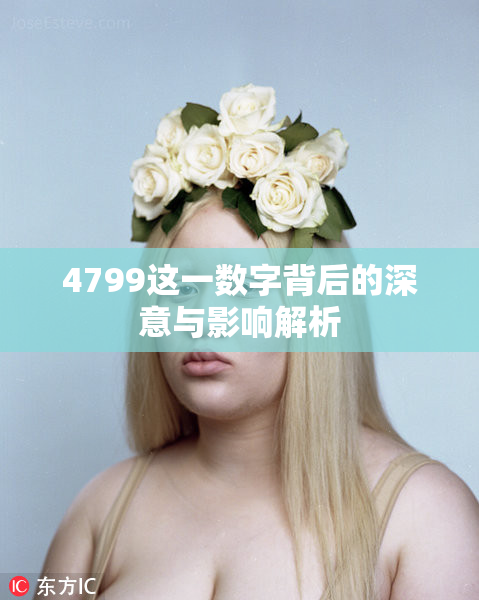 4799这一数字背后的深意与影响解析