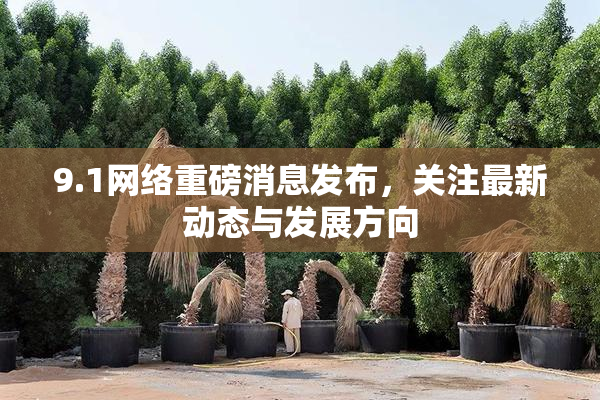 9.1网络重磅消息发布，关注最新动态与发展方向