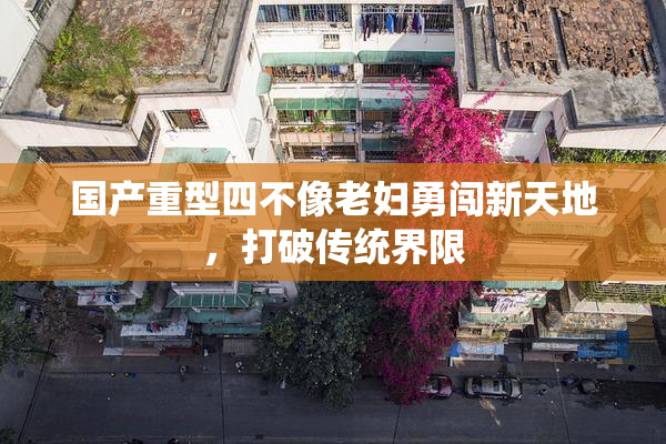 国产重型四不像老妇勇闯新天地，打破传统界限
